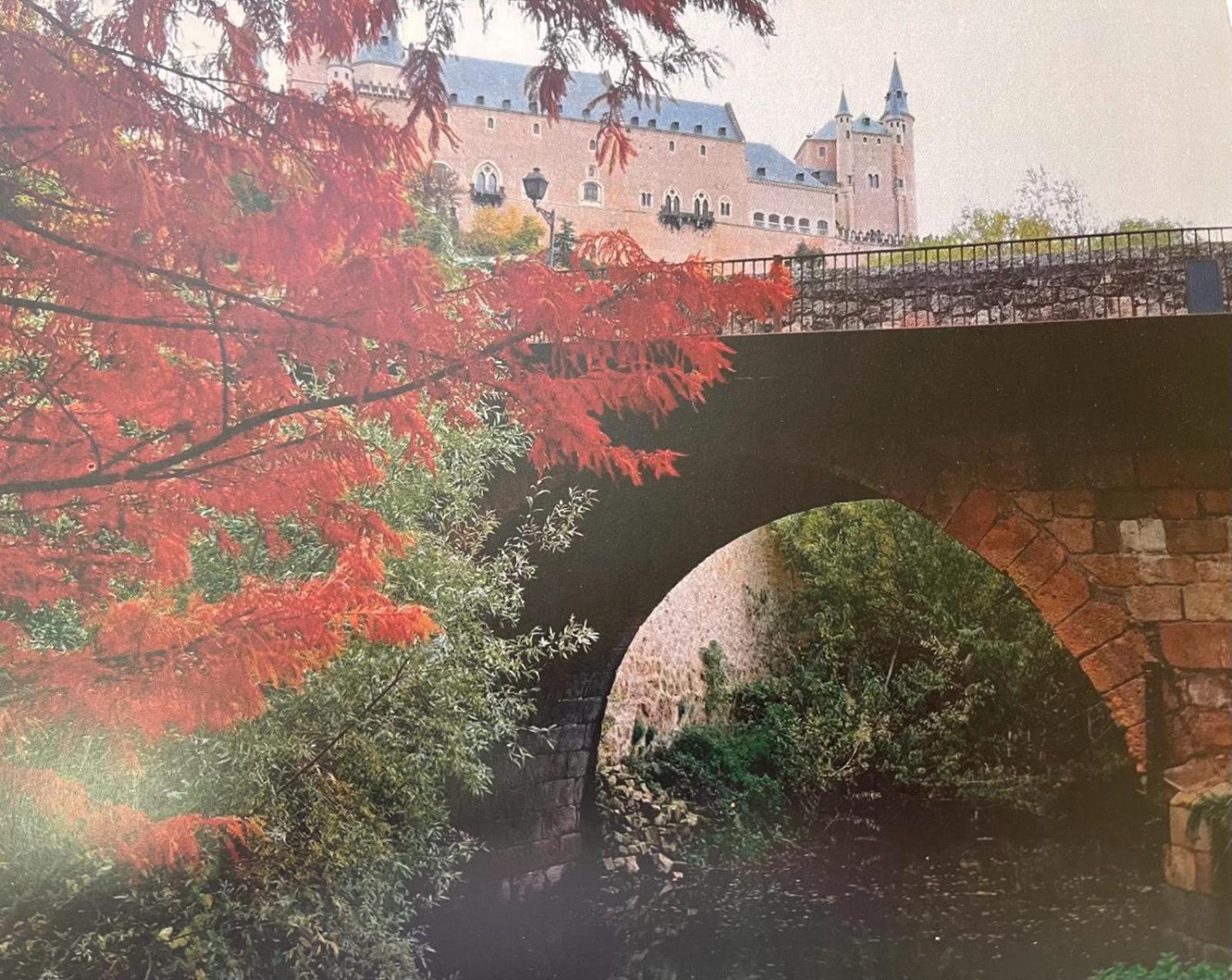 Zamarramala El Jardin De La Alegria 빌라 외부 사진