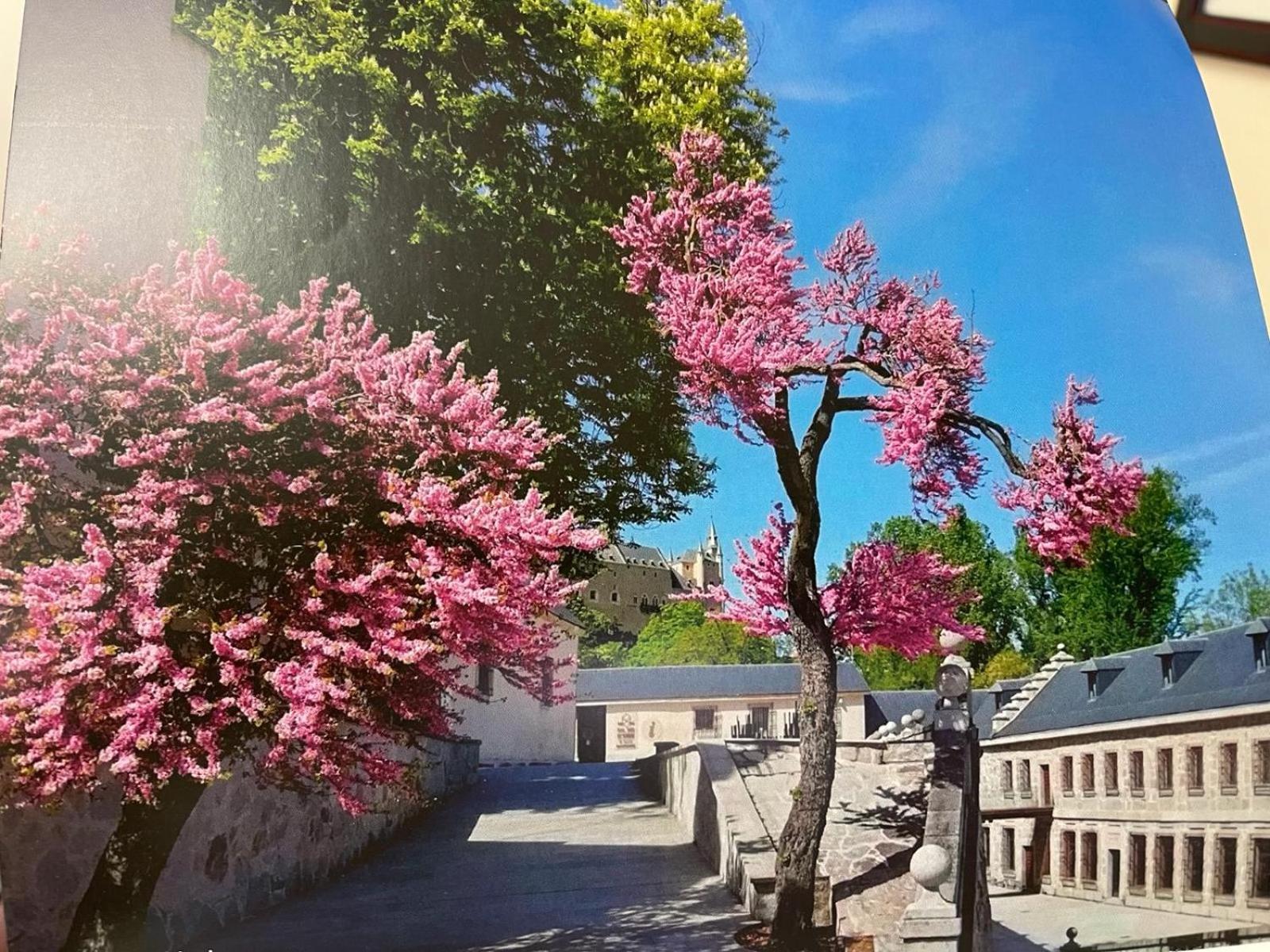 Zamarramala El Jardin De La Alegria 빌라 외부 사진